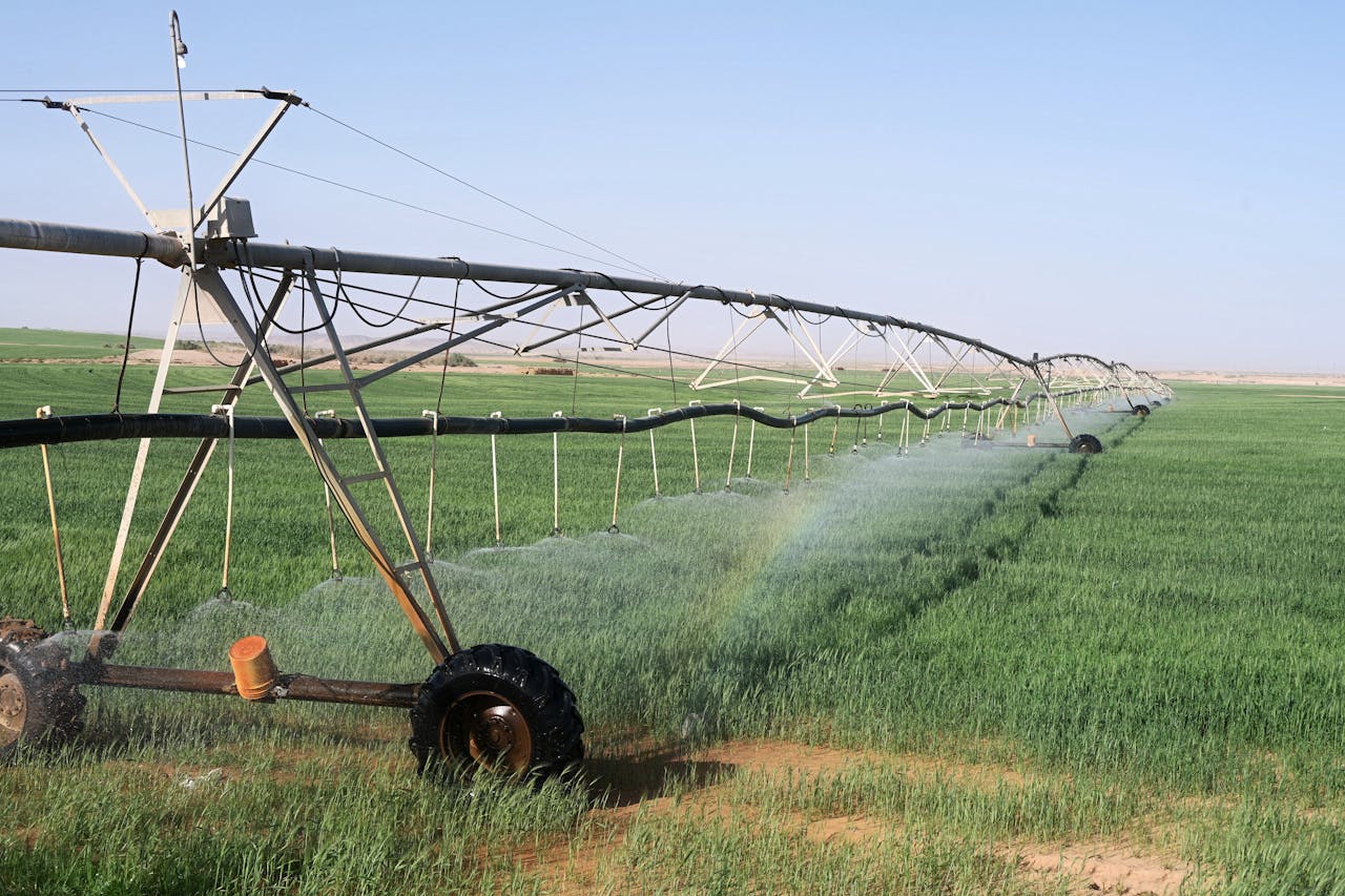 Irrigation